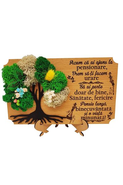 OEM Decoratiune cu licheni "Pensie binecuvantata" - cadou de pensionare pentru Familie, Prieteni, Colegi