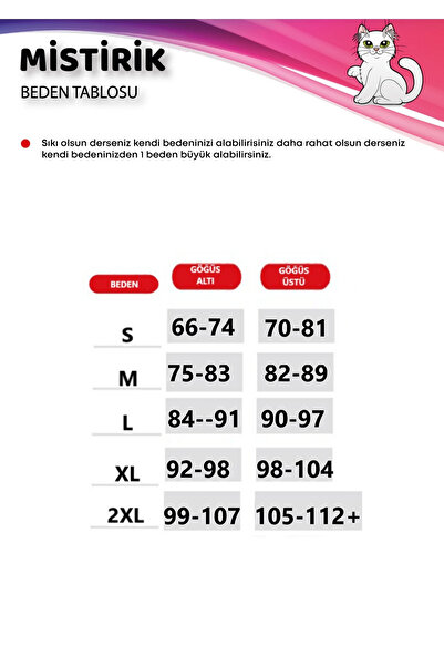 MİSTİRİK Panax Model Firming and Lifting Padded Bustier Corset Red Color