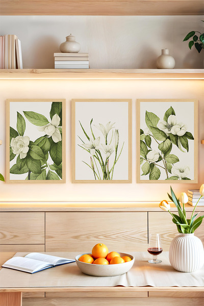 kutuTR 🌿 Vintage Bitki İllüstrasyonlu 3’lü Dekoratif Tablo Seti – Çerçeve Gö...