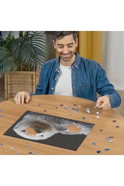 STOREMAX Piece Puzzle Otter Star Buy Bz 1087243