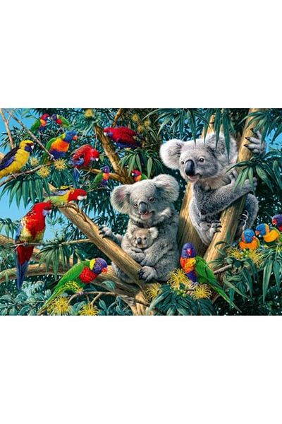 STOREMAX 500P Puzzle Koalas, Jigsaw Puzzle Star Buy Bz 1087243