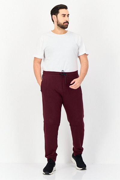 AMERICAN EAGLE Men Regular Fit Solid Jogger Pants, Aubergine