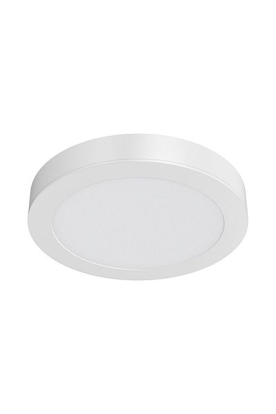 Braytron Spot LED Rotund PT 24W 2400lm 4000K ALB D:300MM IP40