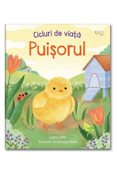 Editura Univers Enciclopedic Junior Cicluri de viata. Puisorul (Usborne), Usb...