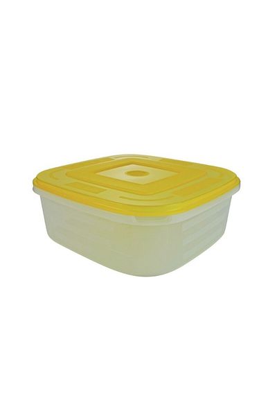 gogiva Food casserole with lid, 2.5 L, microwave and freezer safe
