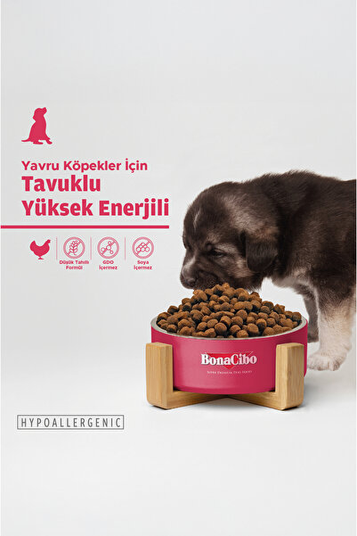 BonaCibo Puppy Dog Yüksek Enerjili Yavru Köpek Maması, 3 Kg, Tüm Irklar İçin, Doğal, Şeker İçermez