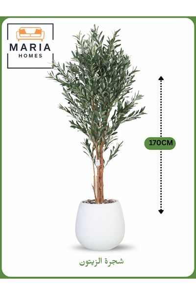 MARIA HOMES Artificial Olive Tree 170 cm – Decorative Indoor Tree with White Pot