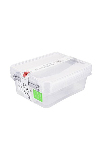 ALTOM DESIGN Set of 2 Altom casseroles, plastic, , silver particles, 1.15 liters, 20 x 15 x 6 cm