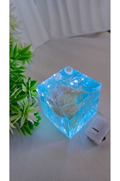 Home Deniz Kutusu Işıklı Epoksi Dekor Gece Lambası