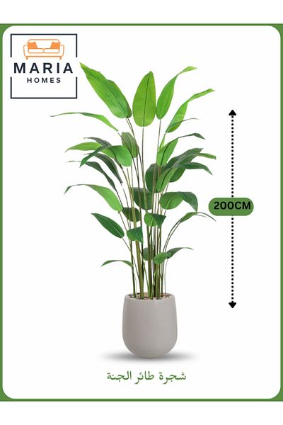 MARIA HOMES Artificial Bird of Paradise Tree 200 cm – Indoor Decorative Plant with GRAY Pot