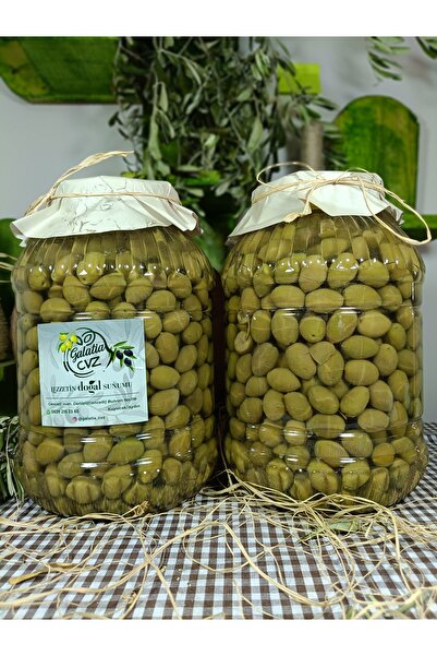galatia cvz Aydın Yöresi Memecik Cinsi Sofralık Tatlandırılmış Kırma Zeytin 3...
