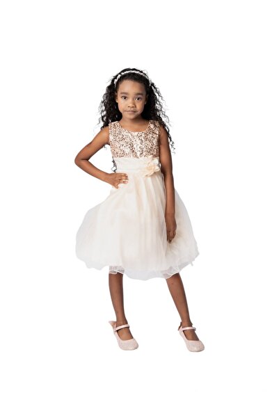 ddaniela فستان دانييلا - مزين بالترتر اللامع والزهور - لون الشمبانيا