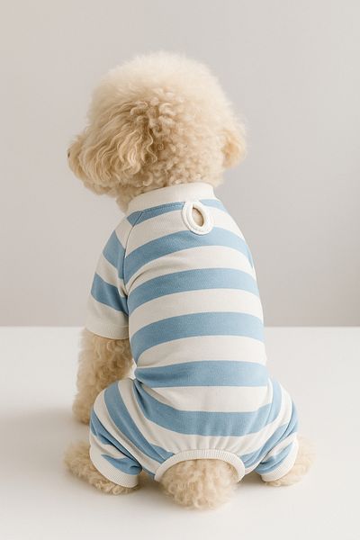 MPZ Pets Cat and Dog Outfit & Dress - 4 Leg Blue and White Striped Jumpsuit