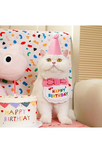 Lady Fify Birthday Celebration Costume with Hat and Apron for Cat and Dog