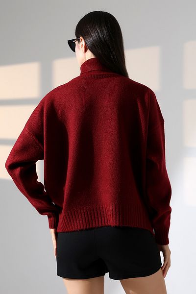 ALCHON Turtleneck Long Sleeve Single Color Soft Textured Basic Plain Winter Knitwear Sweater