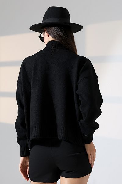 ALCHON Turtleneck Long Sleeve Single Color Soft Textured Basic Plain Winter Knitwear Sweater