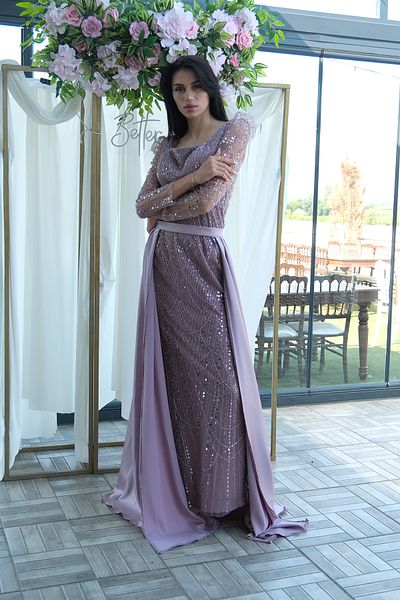 Feminist Beaded Tulle Sleeve Detailed Long Evening Dress Powder 9705463