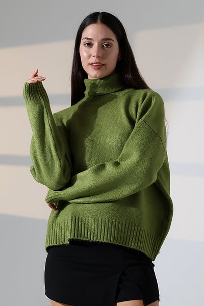 ALCHON Turtleneck Long Sleeve Single Color Soft Textured Basic Plain Winter Knitwear Sweater