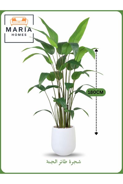 MARIA HOMES Artificial Bird of Paradise Tree 180 cm – Tall Indoor Plant with White Pot