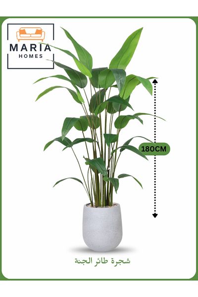 MARIA HOMES Artificial Bird of Paradise Tree 180 cm – Tall Indoor Plant with Light Gray Pot