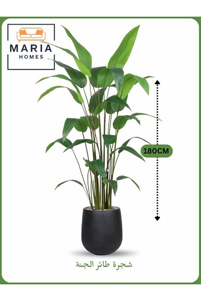 MARIA HOMES Artificial Bird of Paradise Tree 180 cm – Tall Indoor Plant with Black Pot