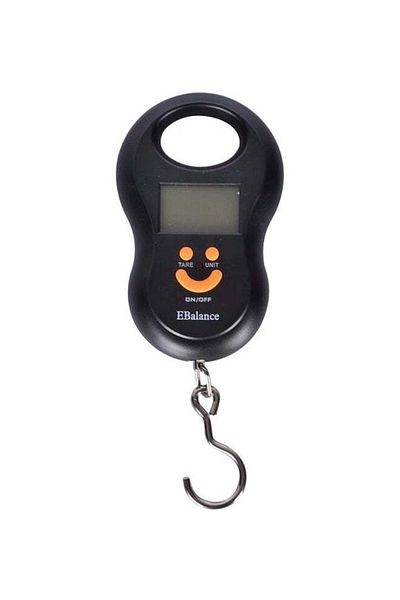 Generic Generic Black Thermometer and Weight Scale