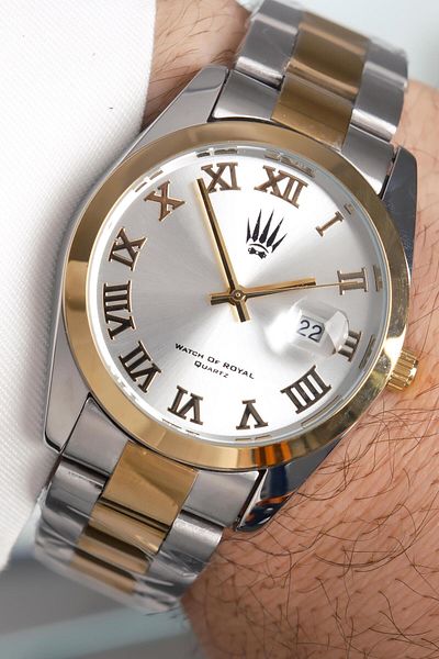 WATCHOFROYAL Aqualis Silver Gold Steel Wrist Watch