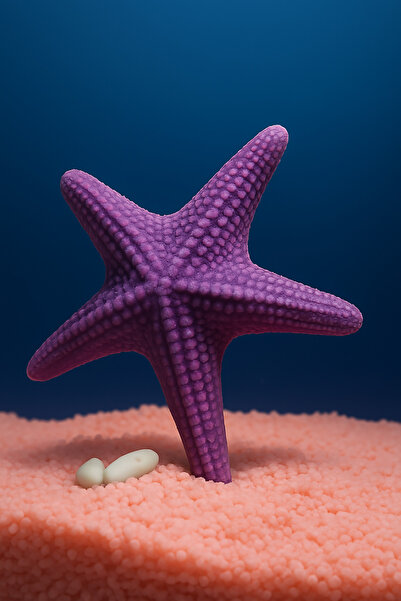 Akvaryum Deniz Yıldızı Deniz Kabugu Dekoru ( Mor ) Mini Fanus Büyük Uygn