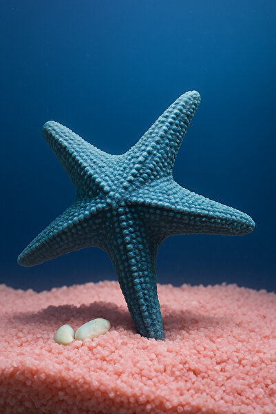 Akvaryum Deniz Yıldızı Deniz Kabugu Dekoru ( Mavi ) Mini Fanus Büyük Uygn