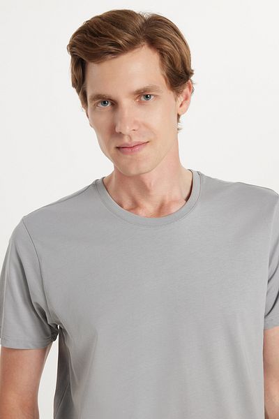 Tudors Unisex Slim Fit Slim Fit 100% Cotton Soft Textured Gray Crew Neck T-Shirt