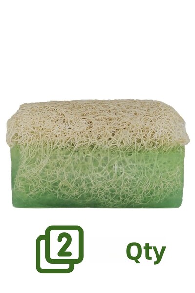 Rise & Shine 2 Pieces Natural Pumpkin Fiber Aloe Vera Soap