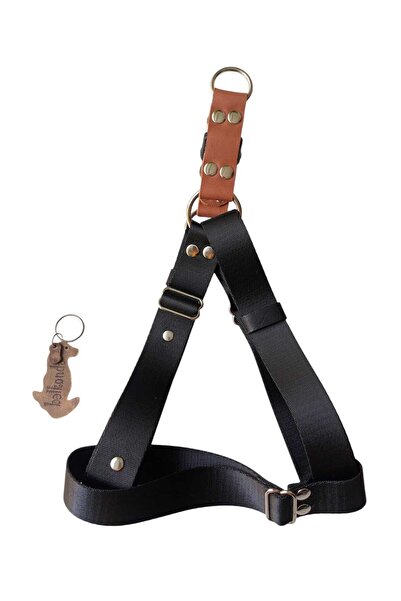 balkonda Köpek Göğüs Tasması Orta Ve Büyük Irk Siyah Kolon Deri Göğüs Ölçüsü:55-95cm Dog Harness Gt3-9