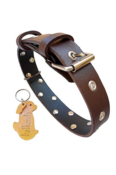 balkonda طوق كلب - صلب بسمك 3 مم، عرض 3 سم T1-27