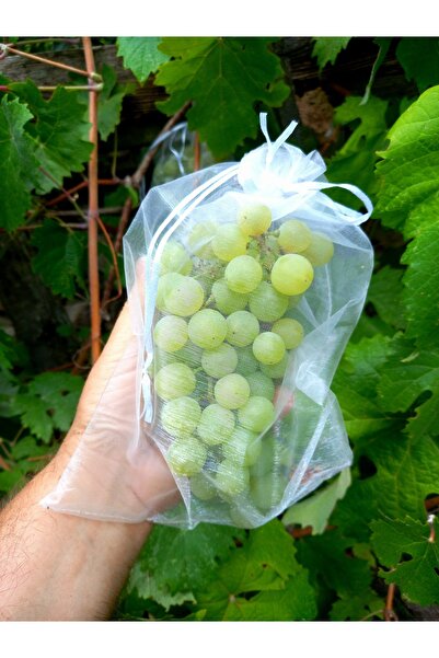 yörük tuhafiye Üzüm Meyve Koruma Torbası ,50 Tane (20X30 CM) ,normal Salkım Boy Üzüm Tül Kesesi