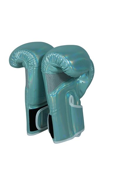 Dragondo Dragon Glossy Boxing Gloves Kickboxing Muaythai Sparring Training Dragon Boxing Gloves