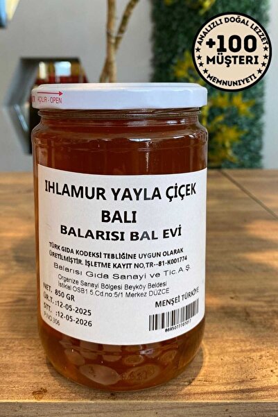 BALARISI Doğal Ihlamur Balı 850 gr