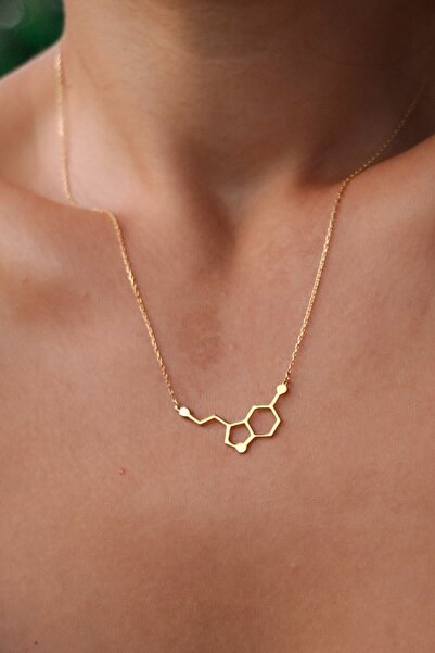 The AC Stories Serotonin Kolyesi | 925 Ayar Gümüş Minimal Serotonin Hormunu K...