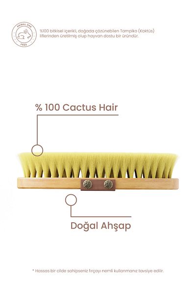 Cosmogenesis Labs Anti-Cellulite 100% Natural Cactus Hair Brush - Dead Skin Remover Purifying Vegan and Animal Friendly
