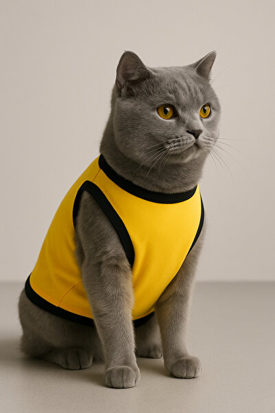 Monopetz ملابس جديدة للمستشفى من الصوف للكلاب والقطط مقاس L أصفر سادة