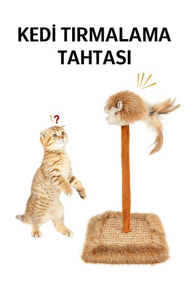 Yenilig Cat Scratching Board with Sound Toy |   Cat Toy with Bell and Mouse |   Nail Shredding and Playground
