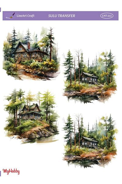 LİNEART Lineart Water Transfer LNT211 25x35cm