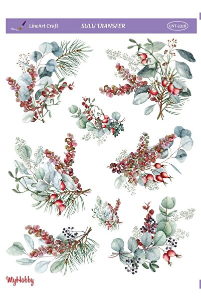 Genel Markalar Sulu Transfer Lnt2318 25x35cm