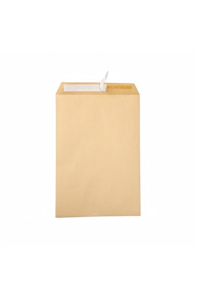 Generic A4 Bag Envelope 32x23 Cm 100pcs