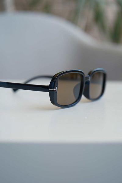 WATCHOFROYAL Royal Eyewear Re1005 Black Brown Sunglasses
