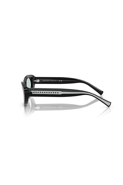 Tiffany &Co. Tf 4236U 8001D9 55 Women's Sunglasses