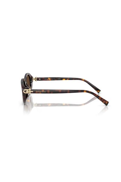 Tiffany &Co. Tf 4242D 80153g 54 Women's Sunglasses