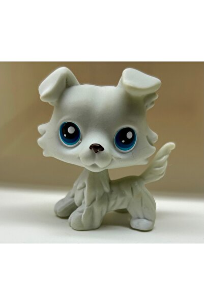 Little Pet Shop Littlest pet shop Miniş Oyuncaklar Hayvan Karakter Figür Dünyası