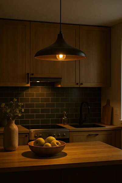 Luna Lighting Apollo Siyah Renk Rustik Tekli Avize Sarkıt Salon Mutfak Oturma Odası Lamba