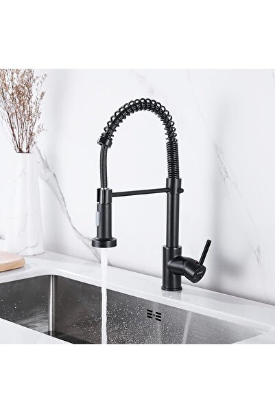 fitto Kitchen Faucet with Pull Out Sprayer, High Arc Goose Neck Design
