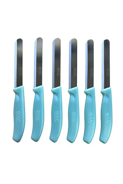 Rooc Set of 6 Ultra Sharp Serrated Blades, Water Green, 22 cm 100% Guaranteed Stainless Steel